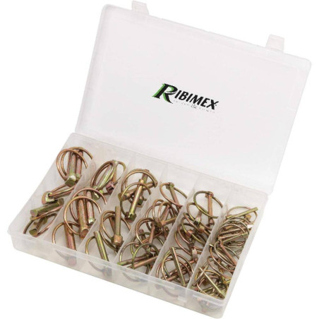 Lot de 50 Goupilles Clips – Coffret Pratique – Fixation Sécurisée et Durable - RIBIMEX