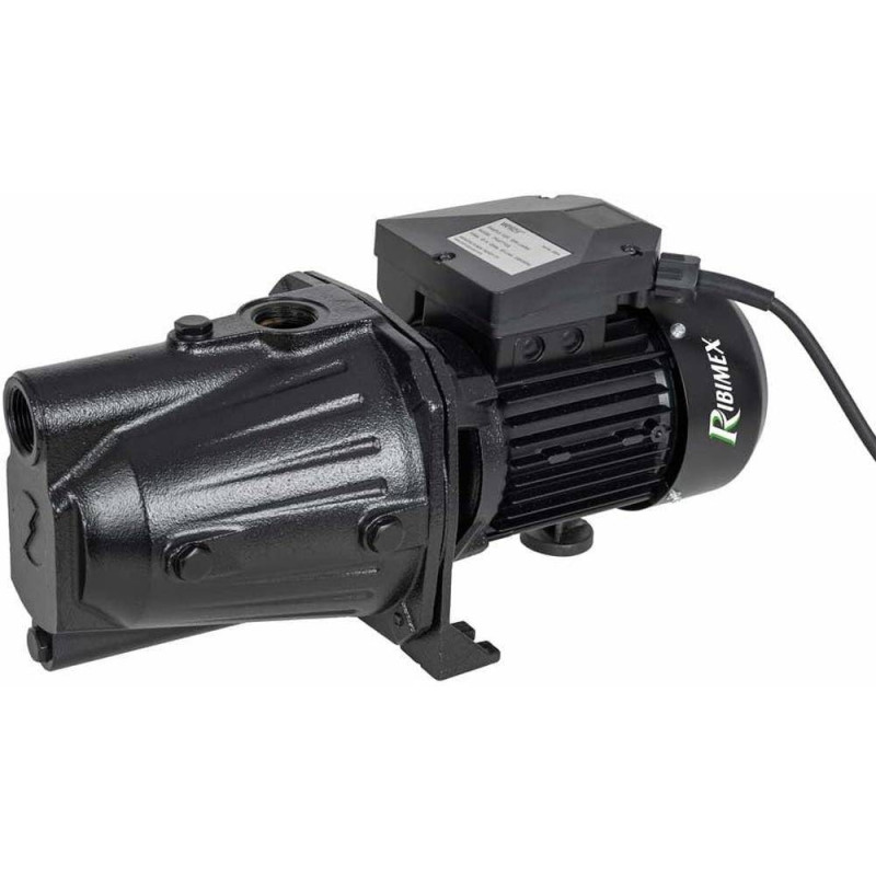Pompe de Surface 1000W - Corps Long - Performance Élevée - Idéale pour Irrigation - D-Work Pompe de Surface 1000W - Corps Long - Performance Élevée - Idéale pour Irrigation - D-Work