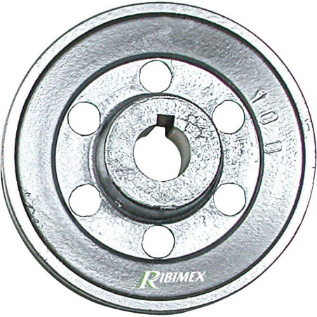 Poulie D.100 mm Axe 19 mm – 1 Gorge Type A – Résistante et Durable - RIBIMEX