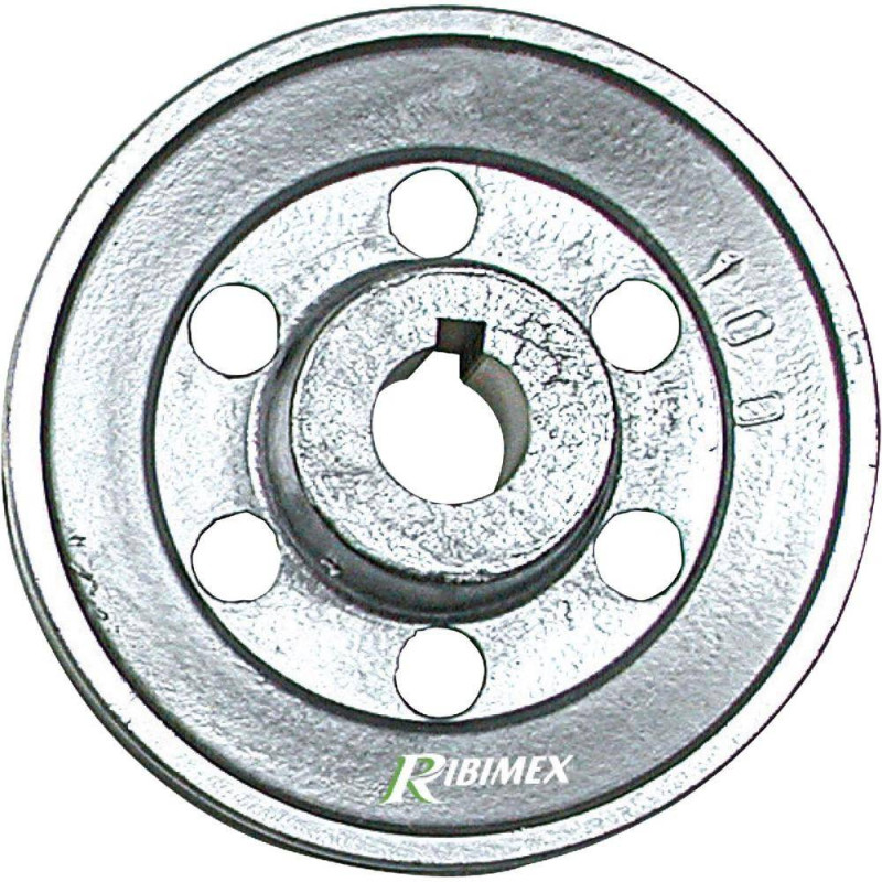 Poulie D.120 mm Axe 28 mm – 1 Gorge Type A – Résistante et Durable - RIBIMEX