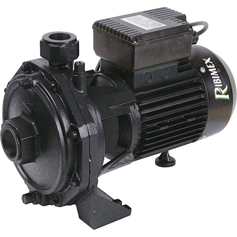 Pompe Centrifuge 2000W – 2 Turbines – Performance Élevée et Fiabilité – RIBIMEX - RIBIMEX