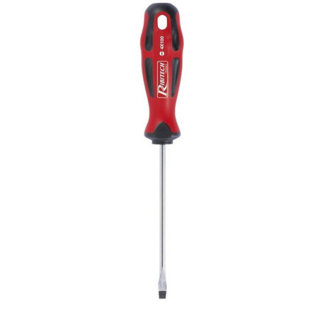 Tournevis Plat 4 x 100 mm – Aimanté – Précision et Efficacité – RIBIMEX - RIBIMEX