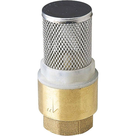Crépine Laiton 1" – Filtre Métal – Résistant et Durable - RIBIMEX