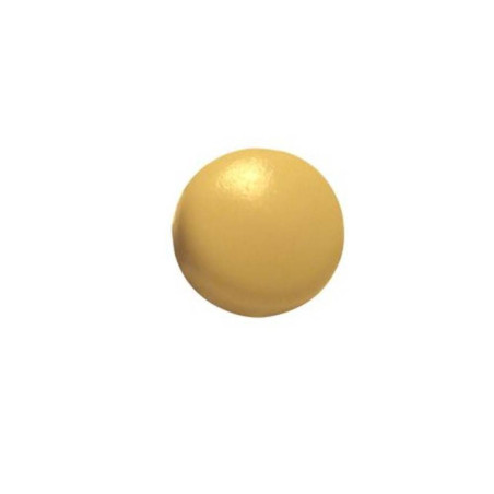 200 Caches-vis tête bombée Ø4,8 mm - Polyéthylène - Protection et finition - ACTON