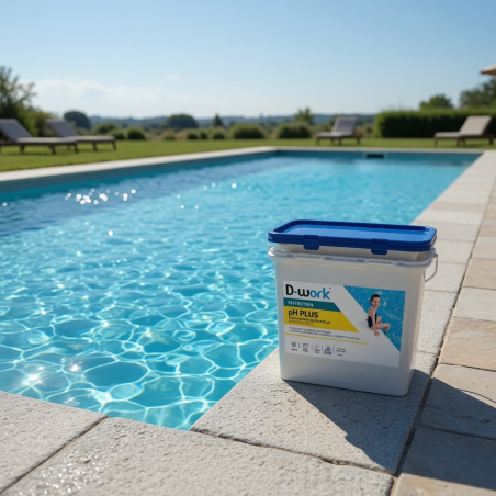 pH Plus granulés pour Piscine 1 kg - Ajustement Facile du pH de l'Eau - D-Work