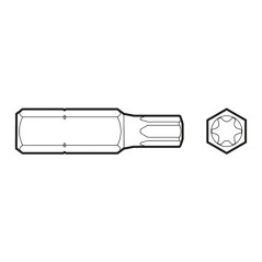 10 Embouts Torx T25 - D-Work