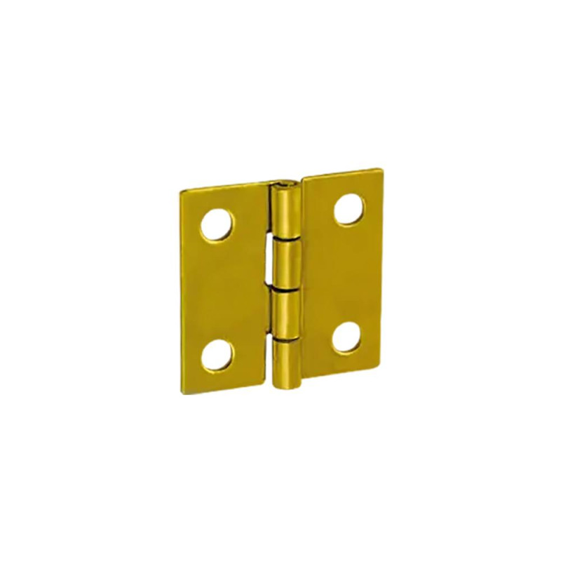 50 Charnières Zinguées Bichromatées 50x46x1 mm - Fixation Durable - D-Work