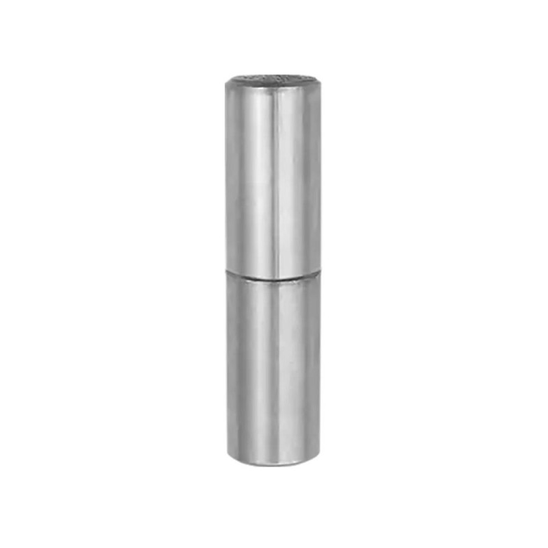 10 Charnières ZMP 60x30x2,5 mm - Acier - Fixation Robuste - D-Work