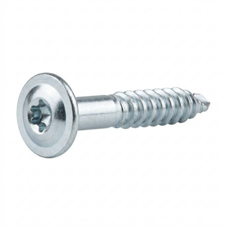 200 Vis de Construction Tête Large 5x45 mm T25 - Zingué Blanc - D-Work