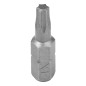 10 Embouts Torx T10 - Acier - Précision et Durabilité - D-Work