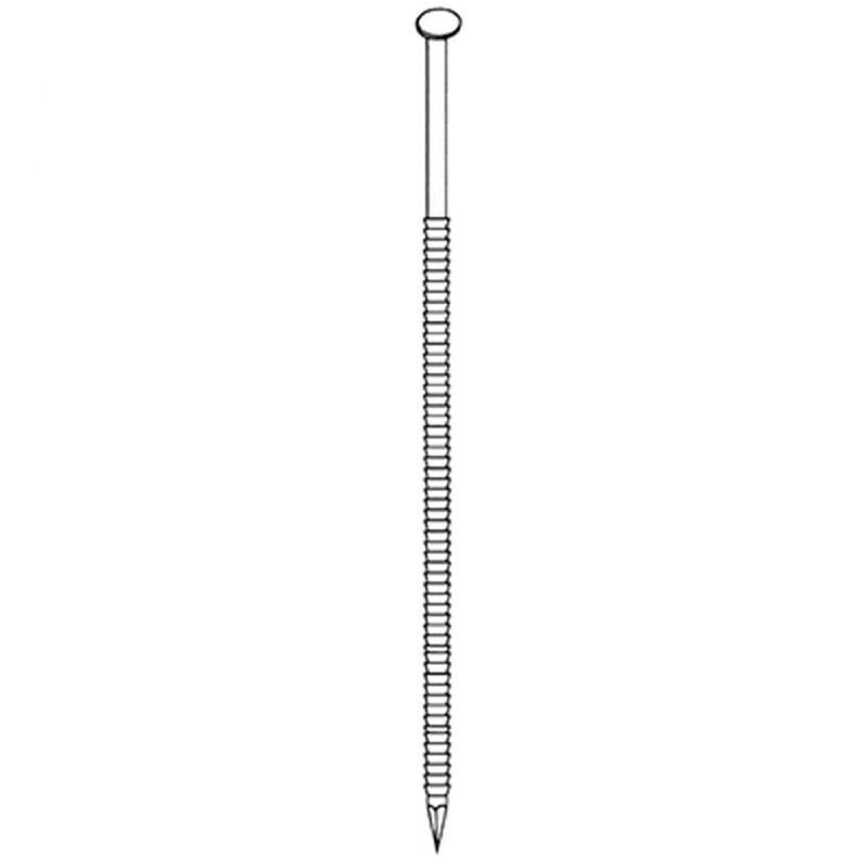 3000 Pointes 31 x 100 mm – Anelées, Acier HDG – Fixation Sécurisée et Durable - ALSAFIX