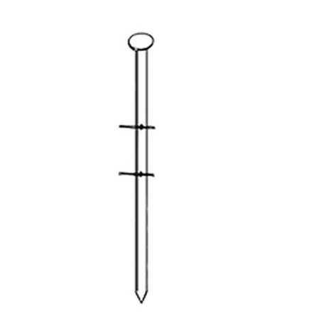 3 600 Pointes Lisses 16° (Coil) - 3.1x80 mm - D-Work