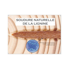 3060 LignoLoc 37 x 60 Bois – 2.57 kg – Fixation Sécurisée et Durable - ALSAFIX
