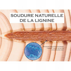 3060 LignoLoc 37 x 55 Bois – 2.4786 kg – Fixation Sécurisée et Durable - ALSAFIX