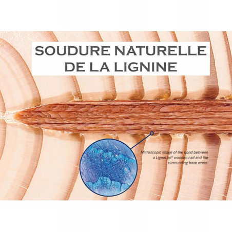 3060 LignoLoc 37 x 55 Bois – 2.4786 kg – Fixation Sécurisée et Durable - ALSAFIX