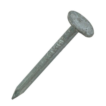 Pointe en Vrac Tête Extra Large (TEL) 2,2 x 35 mm – Galvanisée à Chaud – Résistante et Durable - ALSAFIX