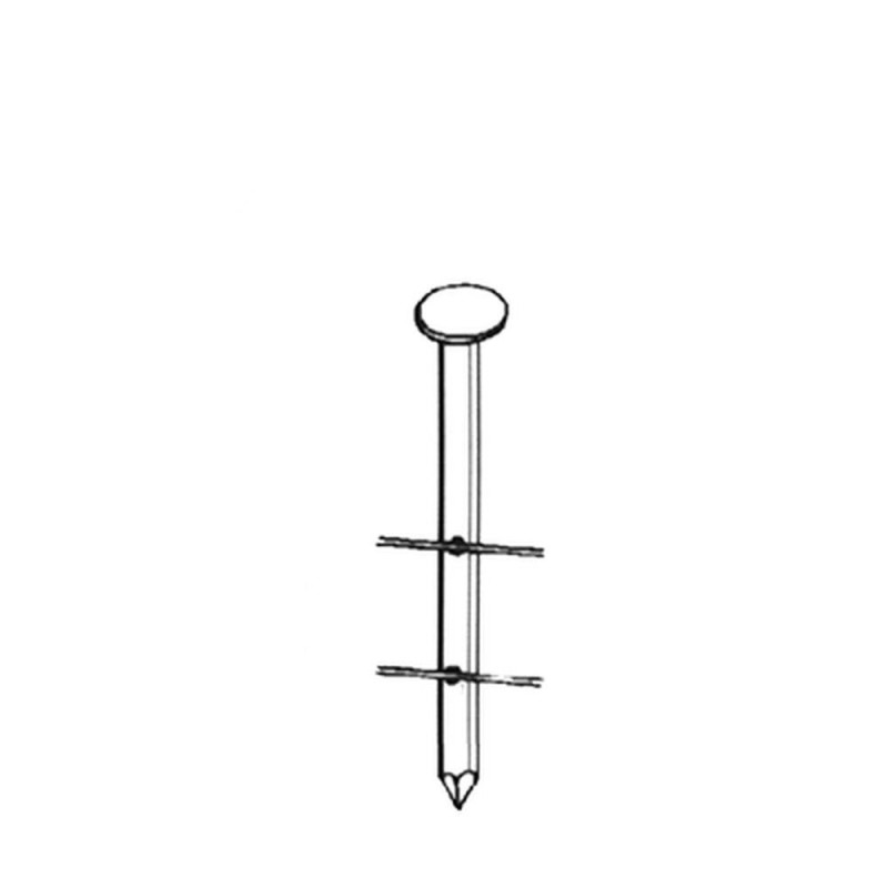 19 500 Pointes Lisses 16° (Coil) - 2.1x38 mm - D-Work 19 500 Pointes Lisses 16° (Coil) - 2.1x38 mm - D-Work