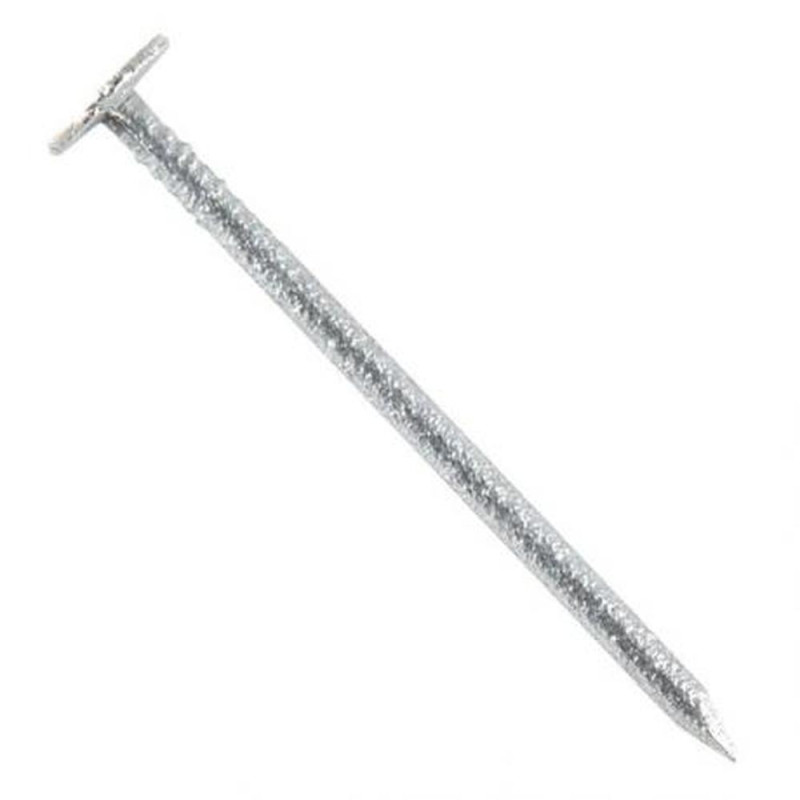 Pointe en Vrac Tête Extra Large (TEL) 2,8 x 60 mm – Galvanisée à Chaud – Résistante et Durable – Alsafix - ALSAFIX