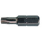Embout de Vissage T30 25 mm – 5 cm – Acier – Précision et Efficacité - ALSAFIX