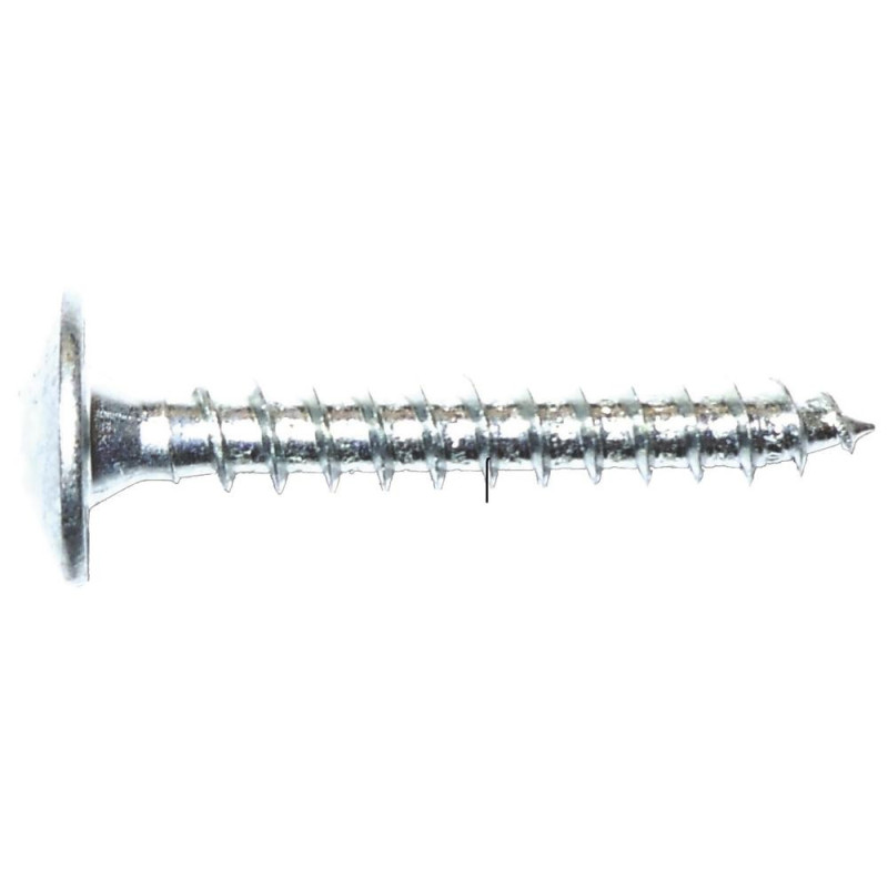 500 Vis de Penture D.6 x 35 mm – Zinguées Blanches, TX 30 – Fixation Sécurisée et Durable - ALSAFIX