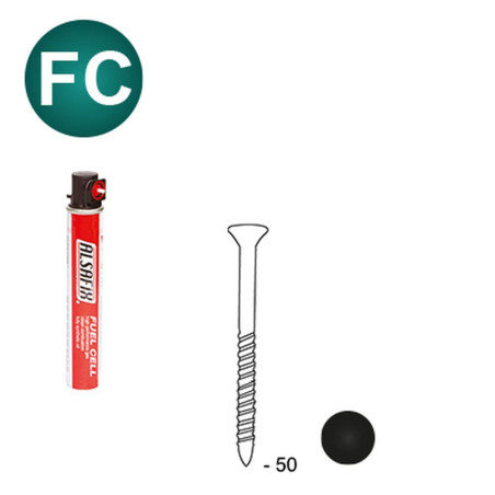 Pack de 2 Clous Scrail 200 cl – D.2,5 x 50 mm + 2 Cartouches de Gaz 80 ml – Fixation Efficace et Pratique - ALSAFIX