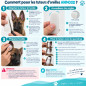 2 Tuteurs de Redressage d'Oreilles Mousse pour Chien Malinois, Berger Allemand, Doberman - Animood