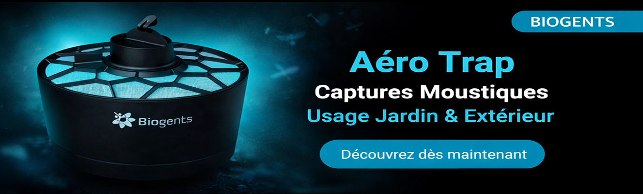 Offer Banner